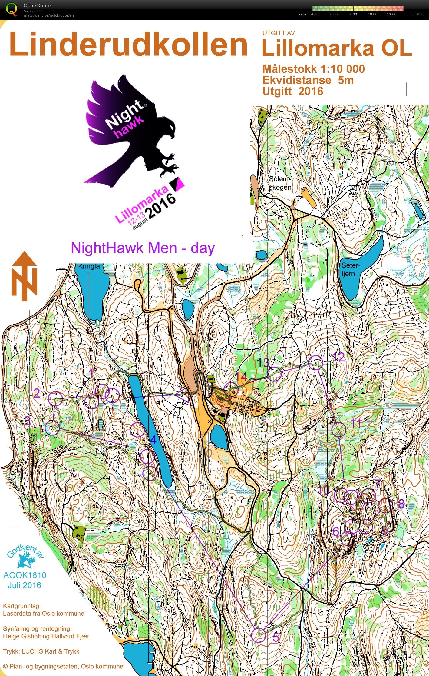 Night Hawk (12/08/2016)